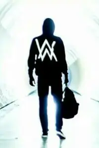 dj小天 - 梦幻动感欧美舞曲电音嗨曲串烧 - 201