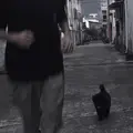 海蓝不见鲸.