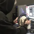 A_罗先生