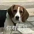 自由如风.