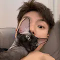 公子明.