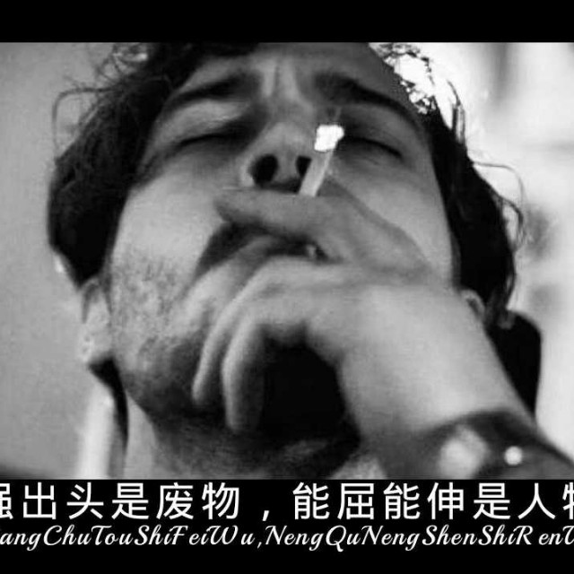 收藏了"广东武德训--也许永远都不会跟她说出那句话."的会员列表