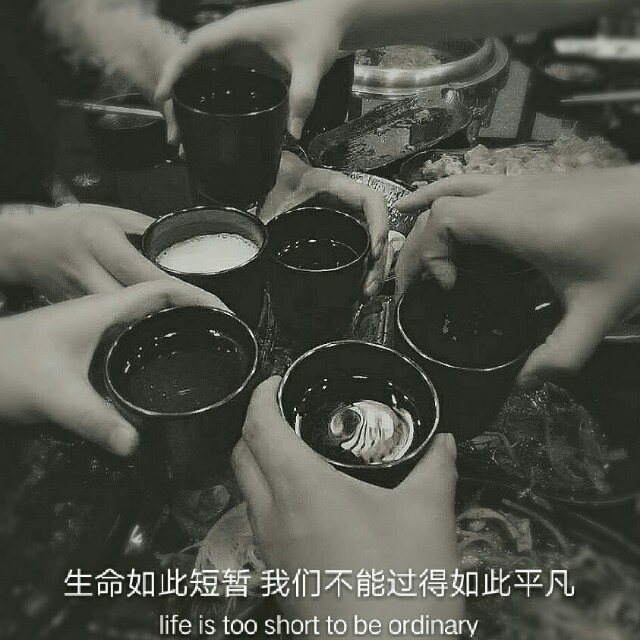 收藏了"南小登 - 青春献给了小酒桌醉生梦死就是喝"的会员列表